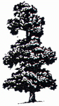 A.C. Old logo